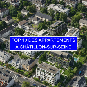 Top 9 des Appartements à Châtillon-sur-Seine