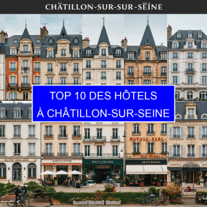 Top 1 des Hôtels à Châtillon-sur-Seine